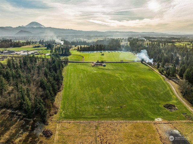 aerial view featuring a rural view and a water and mountain view