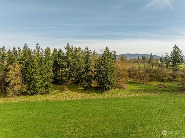 view of local wilderness featuring a mountain view