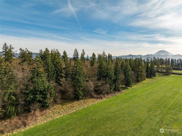 view of landscape with a mountain view