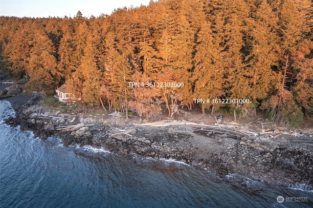 view of nature featuring a water view