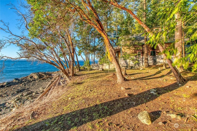 view of yard with a water view
