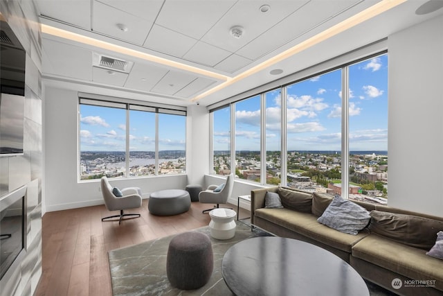 living room with hardwood / wood-style floors