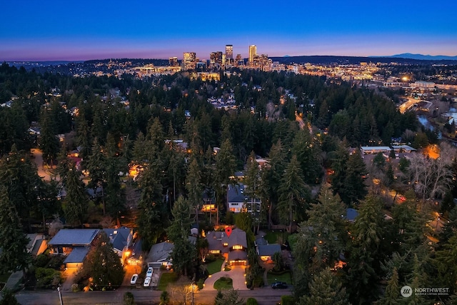 view of aerial view at dusk