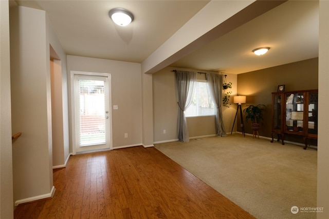 entryway featuring plenty of natural light and wood-type flooring