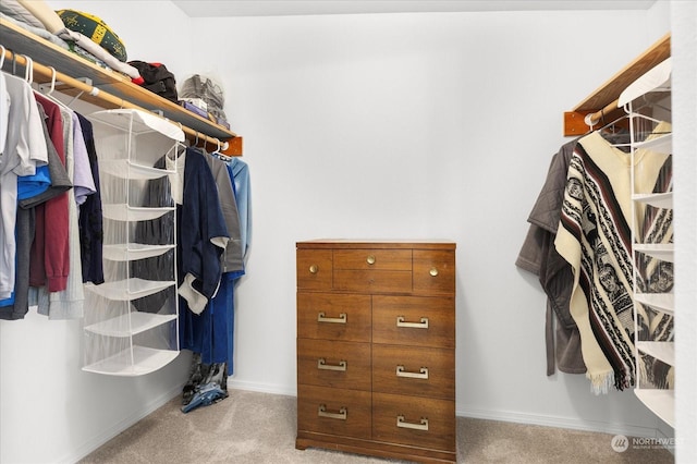 spacious closet with light colored carpet