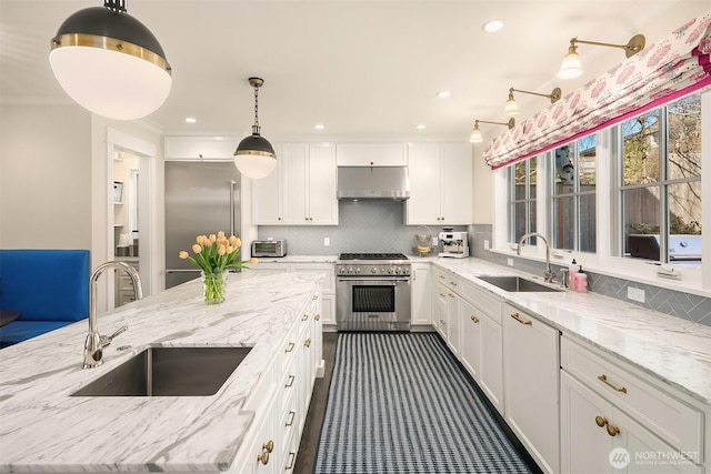 kitchen featuring under cabinet range hood, decorative backsplash, high quality appliances, and a sink