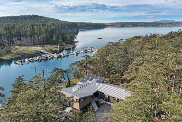 aerial view featuring a water view and a view of trees