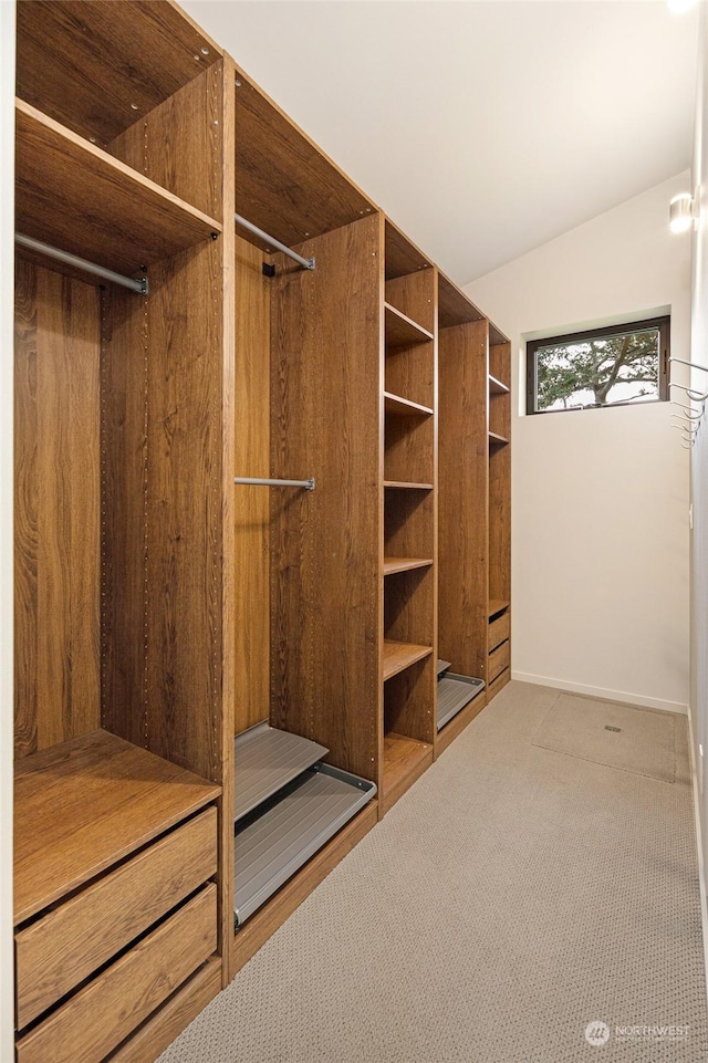 spacious closet featuring carpet