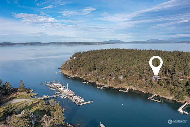 aerial view with a water view and a view of trees