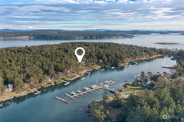 aerial view featuring a water view and a forest view