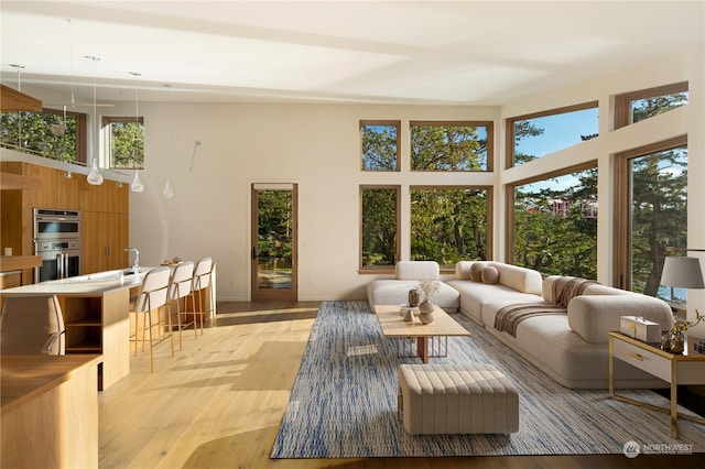 living area featuring a towering ceiling and light wood-style flooring