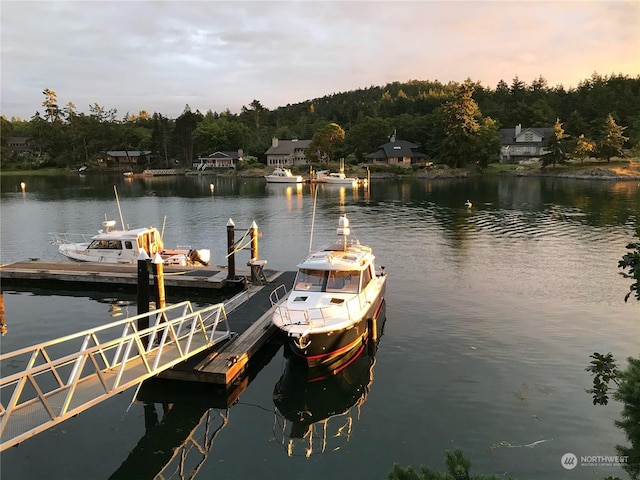 dock area featuring a water view