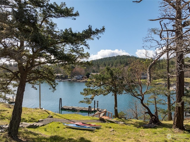 dock area with a water view and a forest view