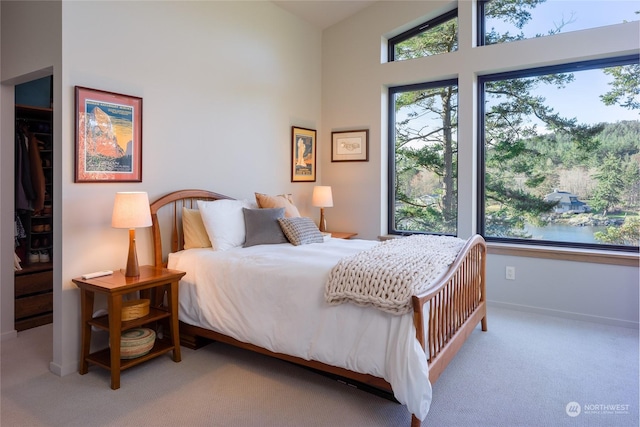 bedroom with carpet, multiple windows, a spacious closet, and baseboards