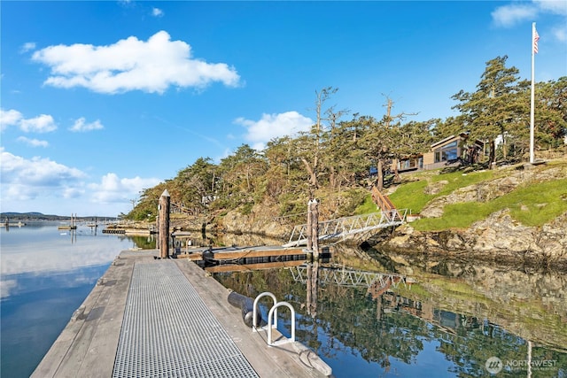 dock area with a water view