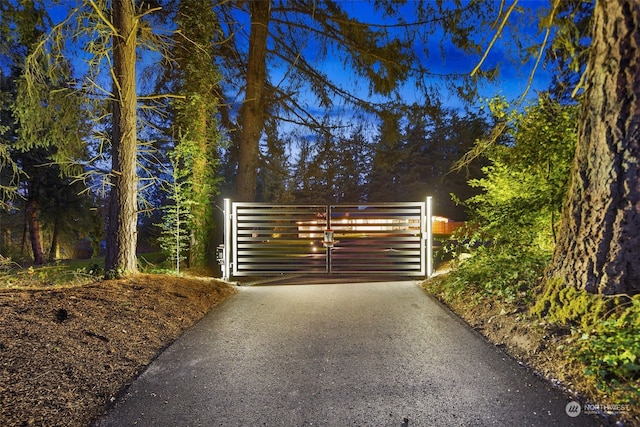 view of gate at night