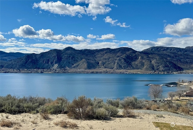 water view featuring a mountain view