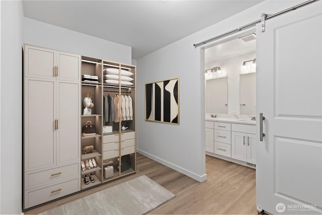 closet with visible vents and a sink