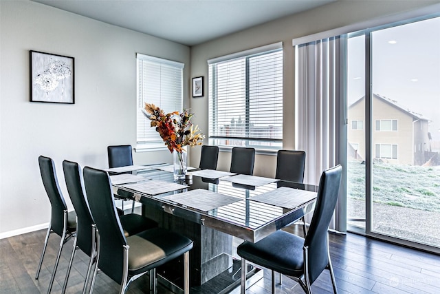 dining room featuring dark wood-type flooring