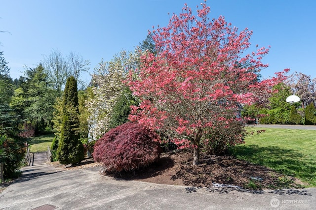 9009 Martin Ave NW, Silverdale, WA 98383 - photo 40
