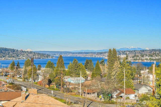 8246 S 121, Seattle, WA 98178 - photo 5