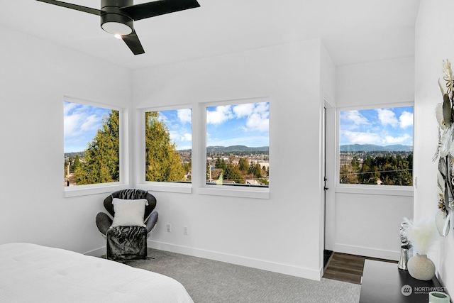8246 S 121, Seattle, WA 98178 - photo 28