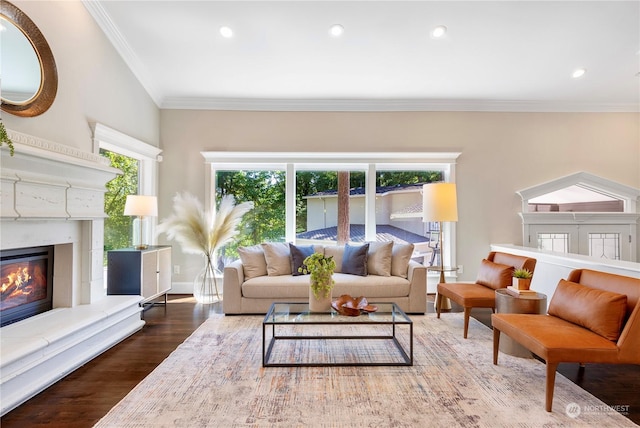 living room with wood-type flooring and ornamental molding