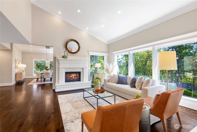 living room with high vaulted ceiling, dark hardwood / wood-style floors, and crown molding