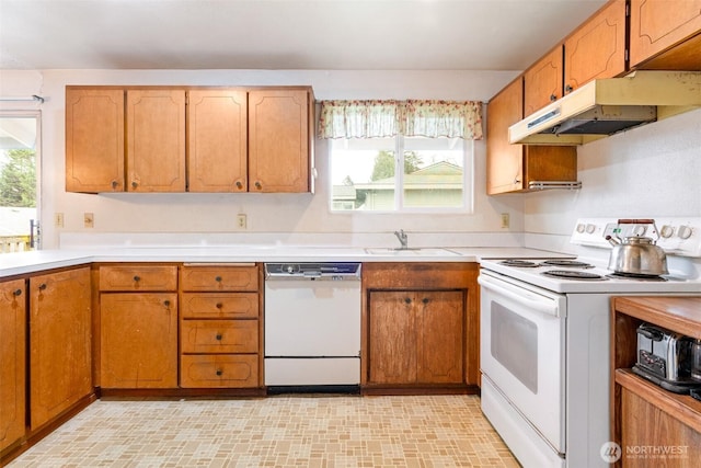 kitchen featuring white appliances, a healthy amount of sunlight, light countertops, and a sink