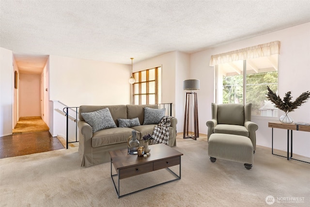 carpeted living area with a textured ceiling