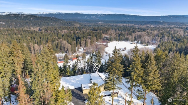 aerial view with a mountain view