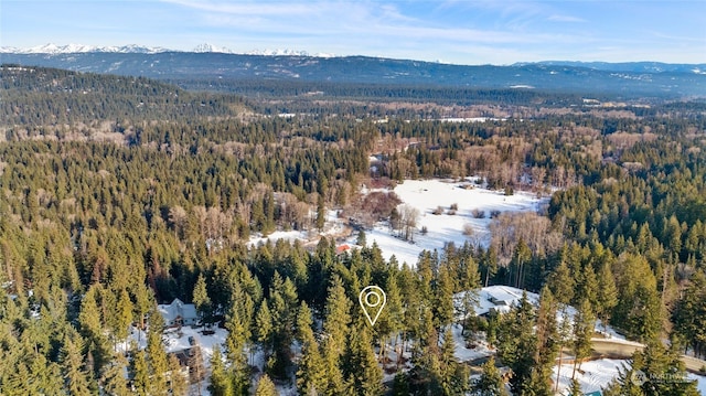 drone / aerial view featuring a mountain view