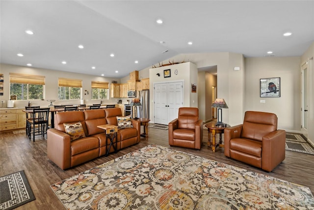 living room with dark hardwood / wood-style floors and lofted ceiling