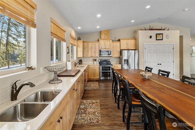 kitchen featuring sink, stainless steel appliances, a healthy amount of sunlight, and light brown cabinets