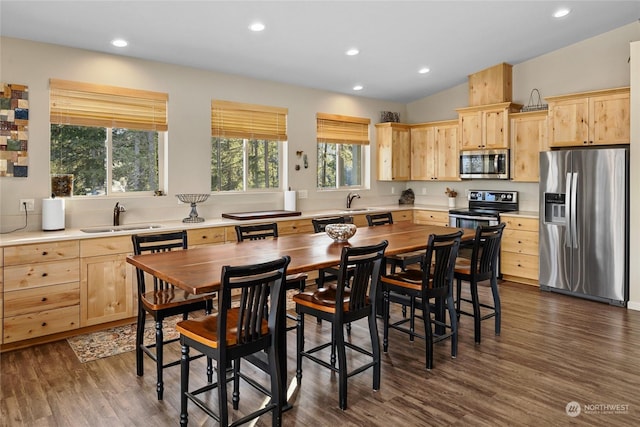 kitchen with light brown cabinetry, vaulted ceiling, sink, dark hardwood / wood-style flooring, and stainless steel appliances