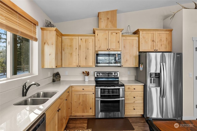 kitchen with light brown cabinetry, vaulted ceiling, dark hardwood / wood-style flooring, sink, and appliances with stainless steel finishes