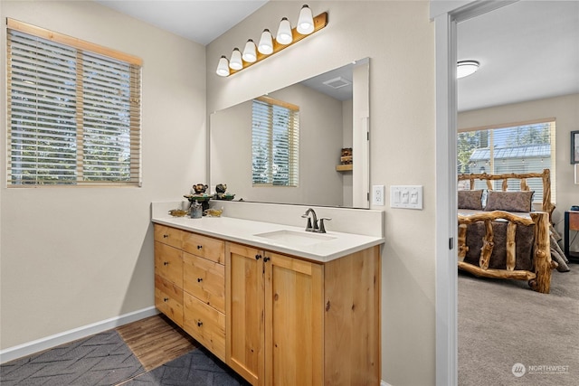 bathroom featuring vanity and a wealth of natural light