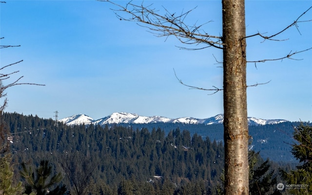 view of mountain feature