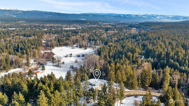 drone / aerial view featuring a mountain view