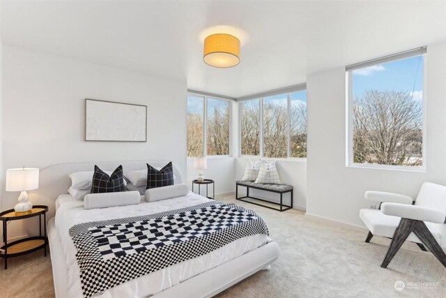 bedroom with light carpet