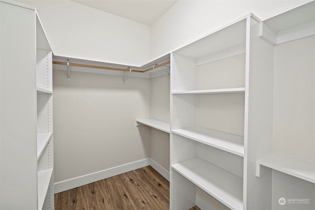 spacious closet with wood-type flooring