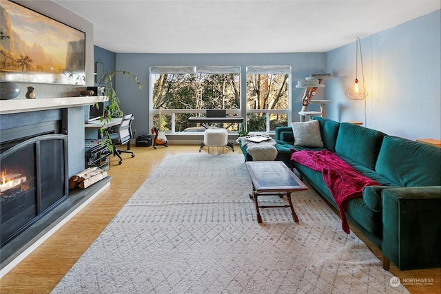 living room with light hardwood / wood-style flooring