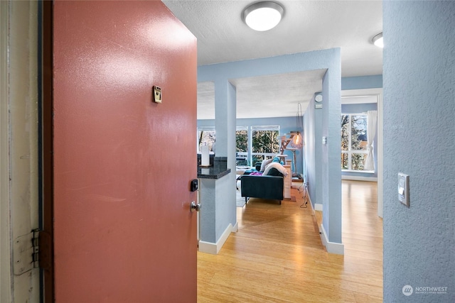 hallway featuring light hardwood / wood-style floors