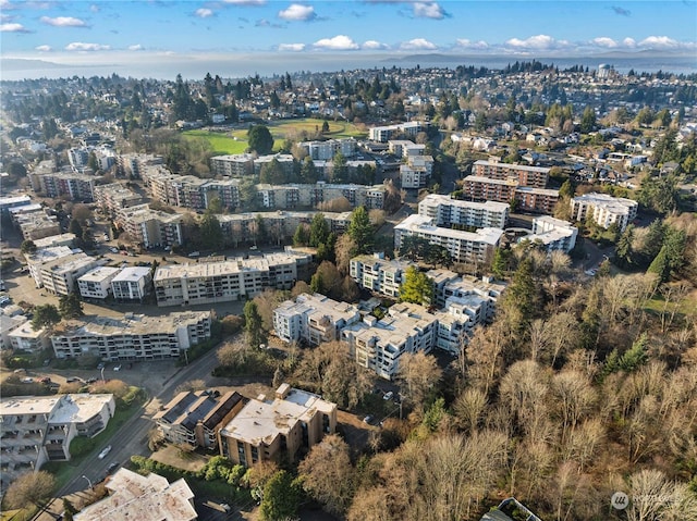 drone / aerial view with a city view