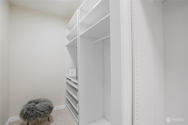 walk in closet with light colored carpet