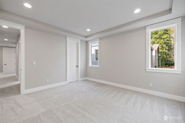 empty room featuring plenty of natural light and light colored carpet