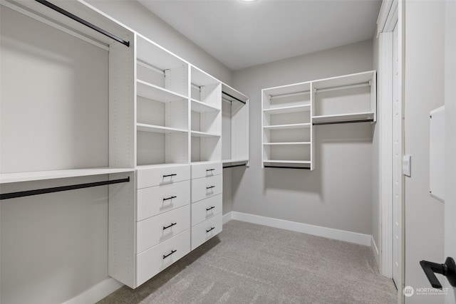 spacious closet featuring light carpet