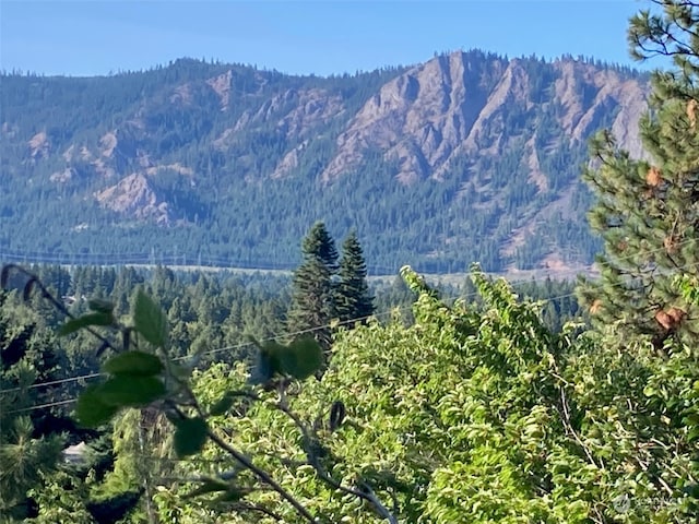 322 W 4th St, Cle Elum, WA 98922