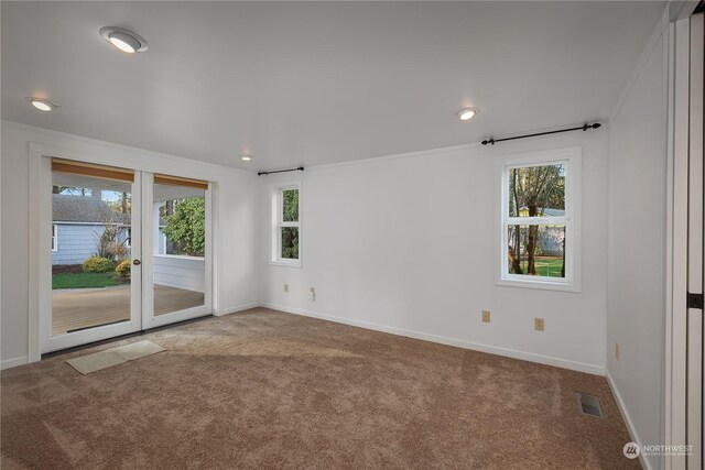 carpeted spare room featuring a wealth of natural light and ornamental molding