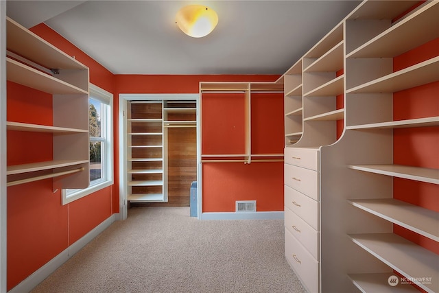 walk in closet featuring carpet floors